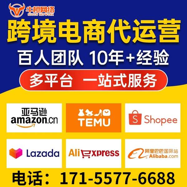 莱州电商代运营