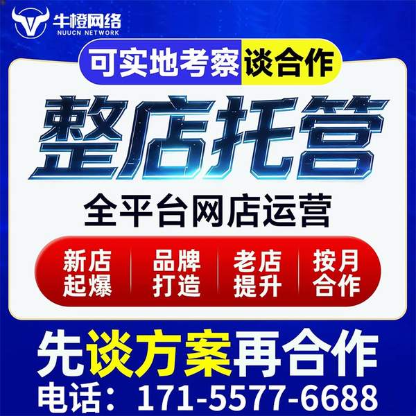 莱州电商代运营