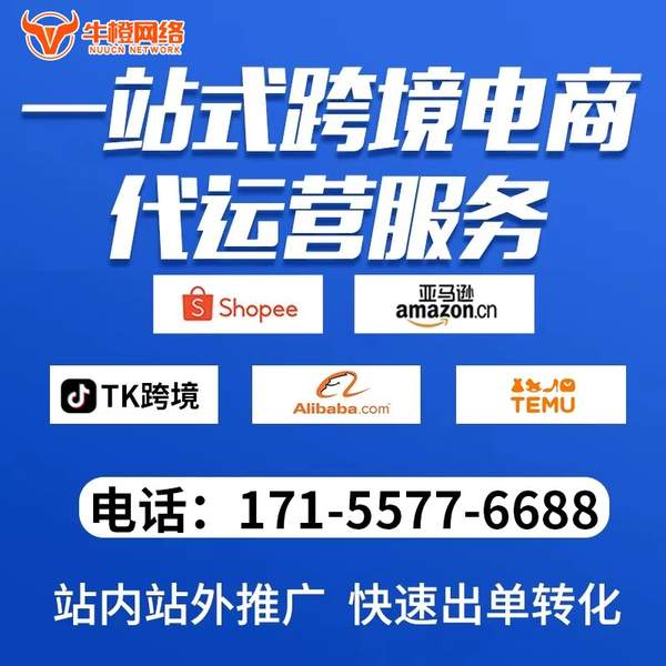 莱州电商代运营